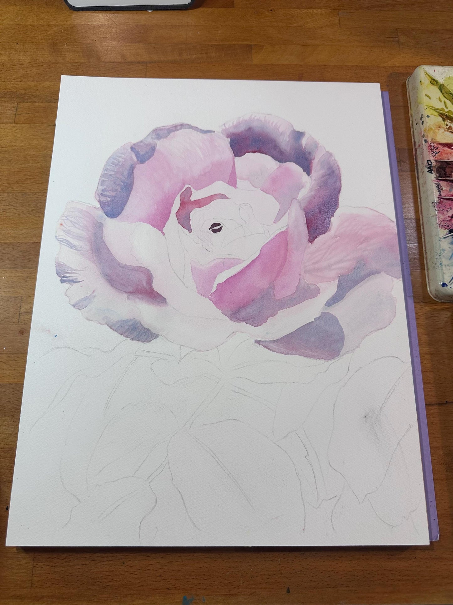 Pink Rose Original Watercolor Painting - 12x16"