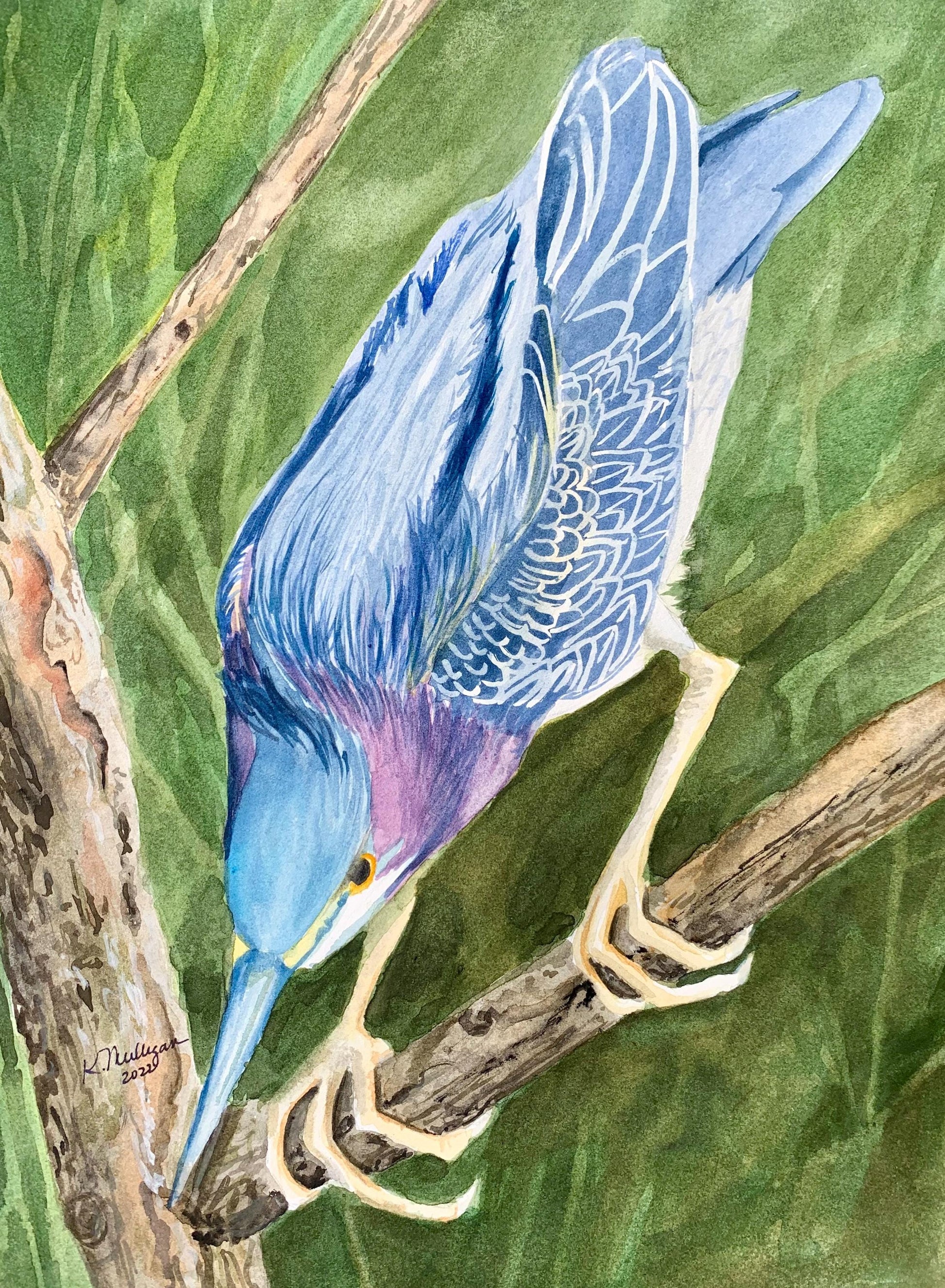 Heron poised to strike on a branch with a green background 