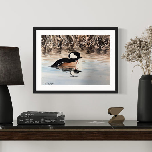 Print of a Hooded Merganser