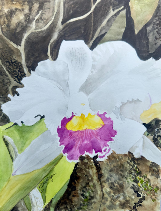 Print of Pink and White Orchid Flower