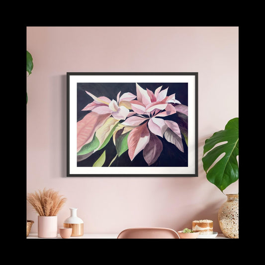 Print of Pink Poinsettia