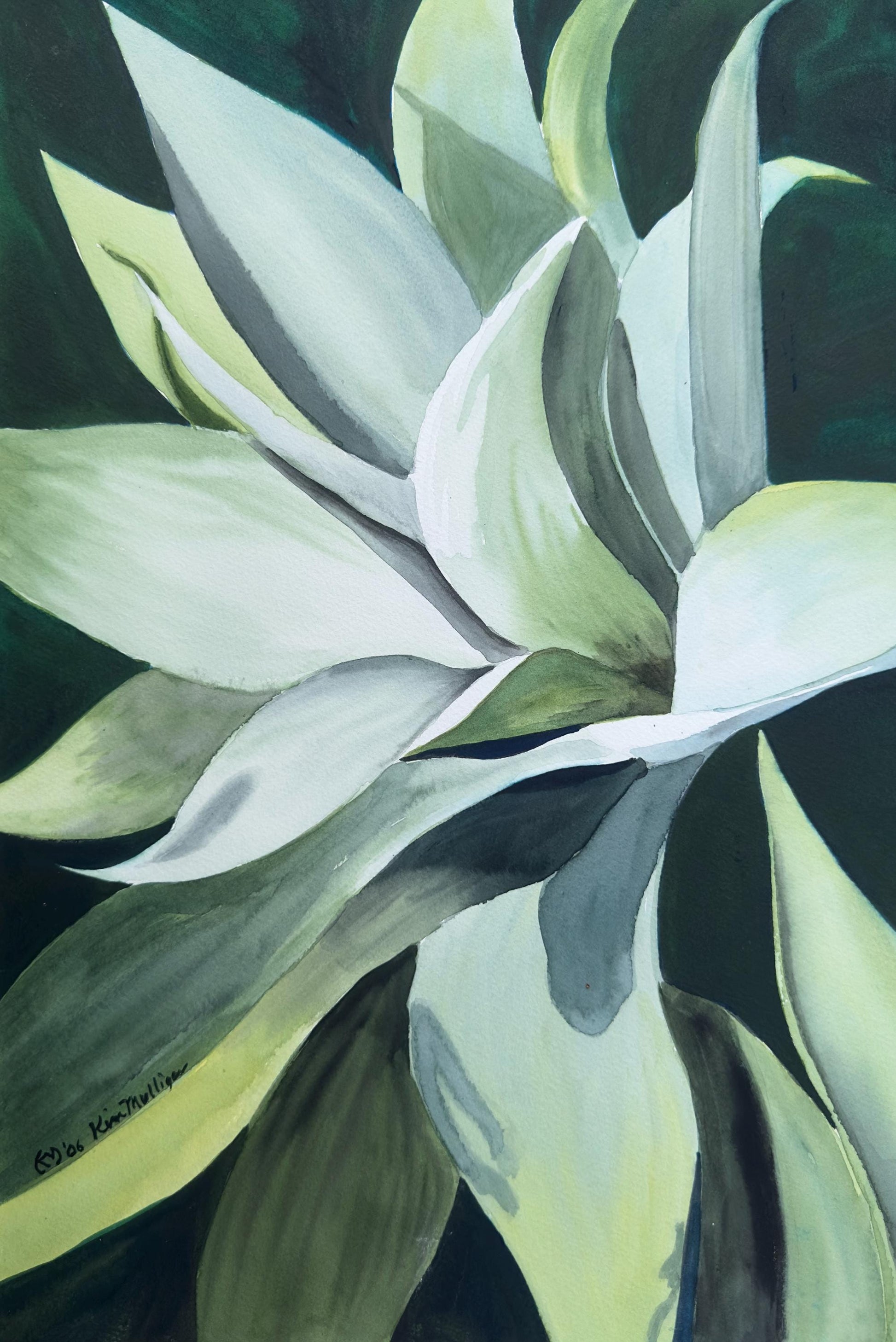 Watercolor art work of a green agave plant.