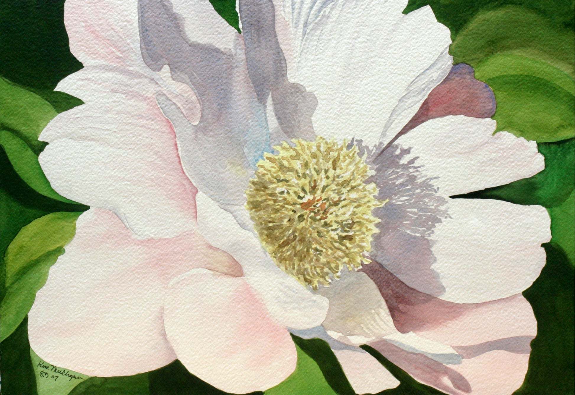 Close-up of a pink and white flower with green leaves