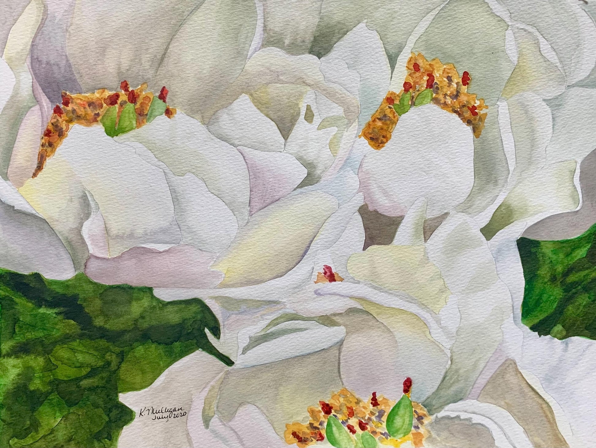 Close-up  watercolor painting of white peony flowers with orange and yellow centers and green leaves