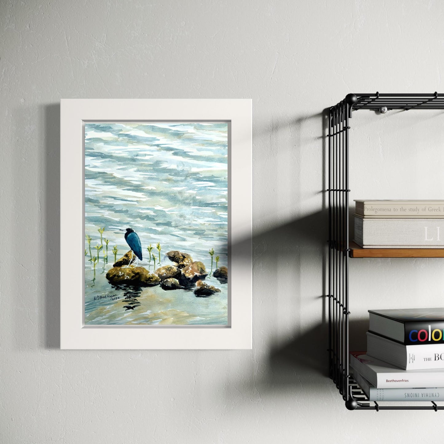 Print of Little Blue Heron on Rocks
