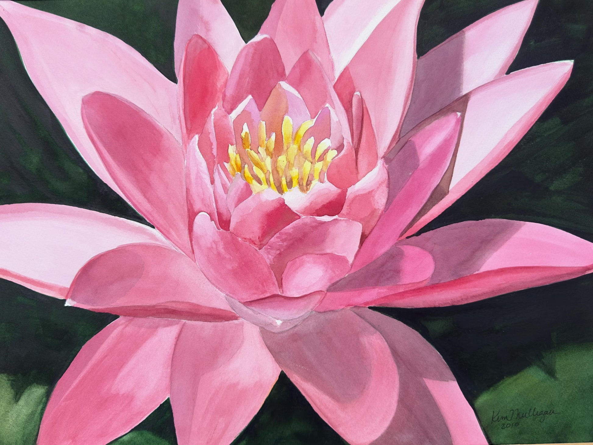Watercolor painting of a pink water lily flower with a dark green background