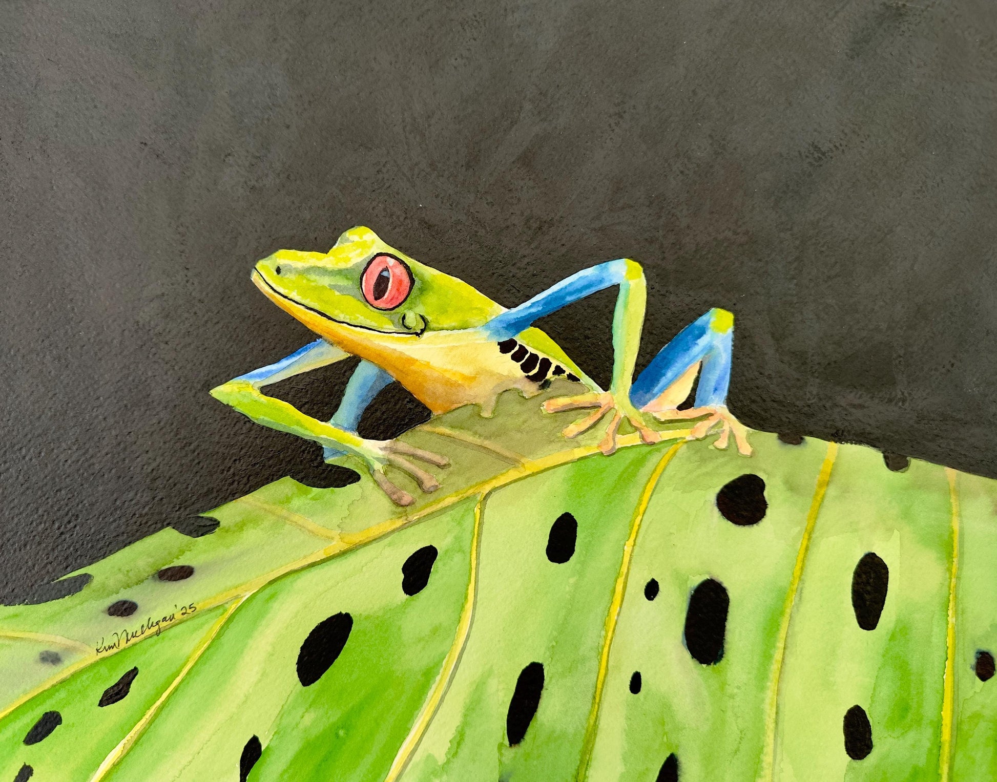 Colorful frog on a leaf with a dark background