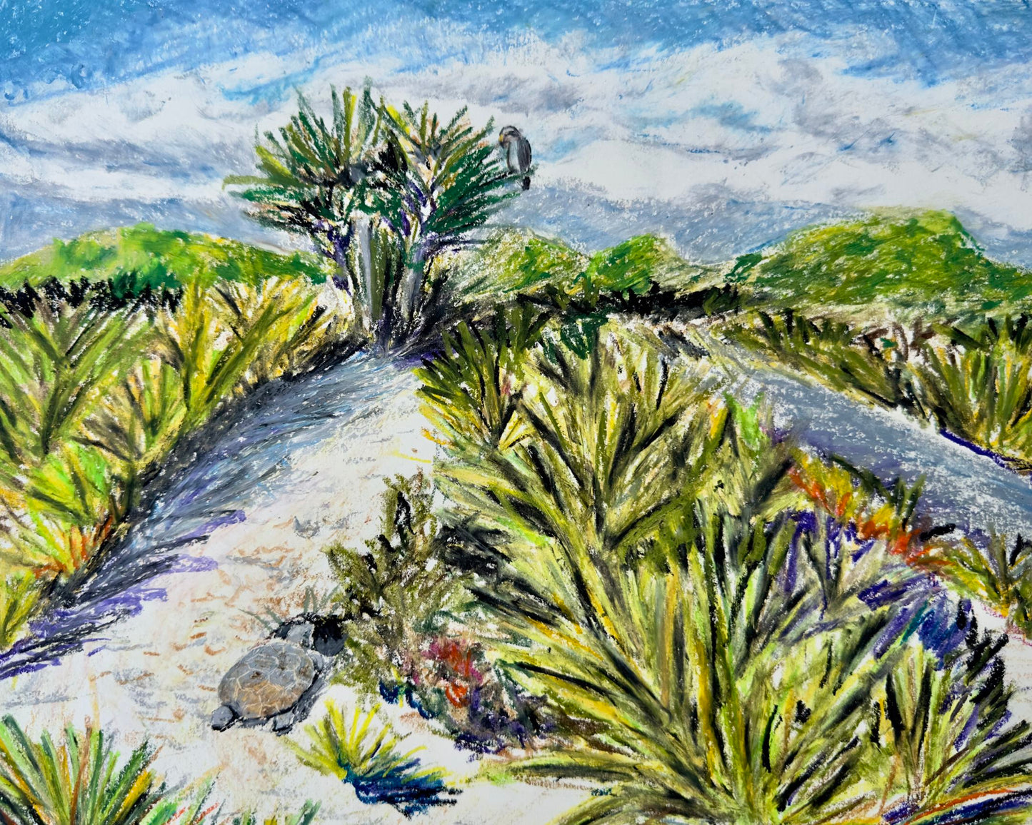 Painting of a coastal landscape with scrub palms a tortoise, and a bird.