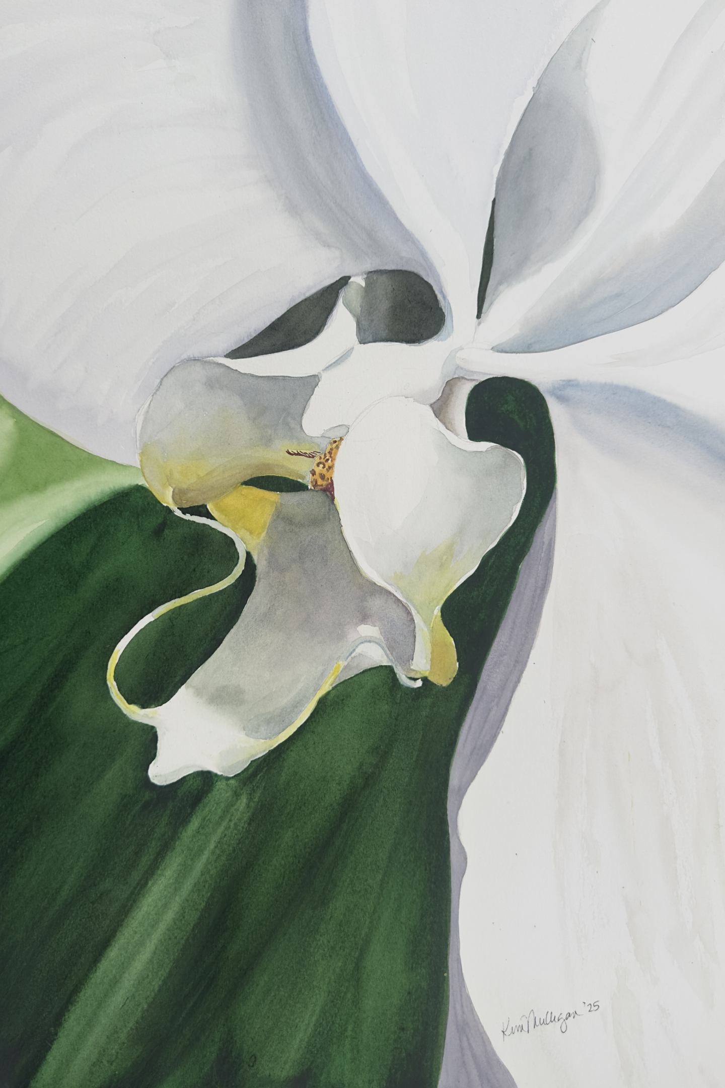 Watercolor artwork of a close up white orchid flower with green leaves.
