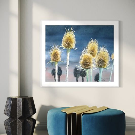 Print of Wild Teasel