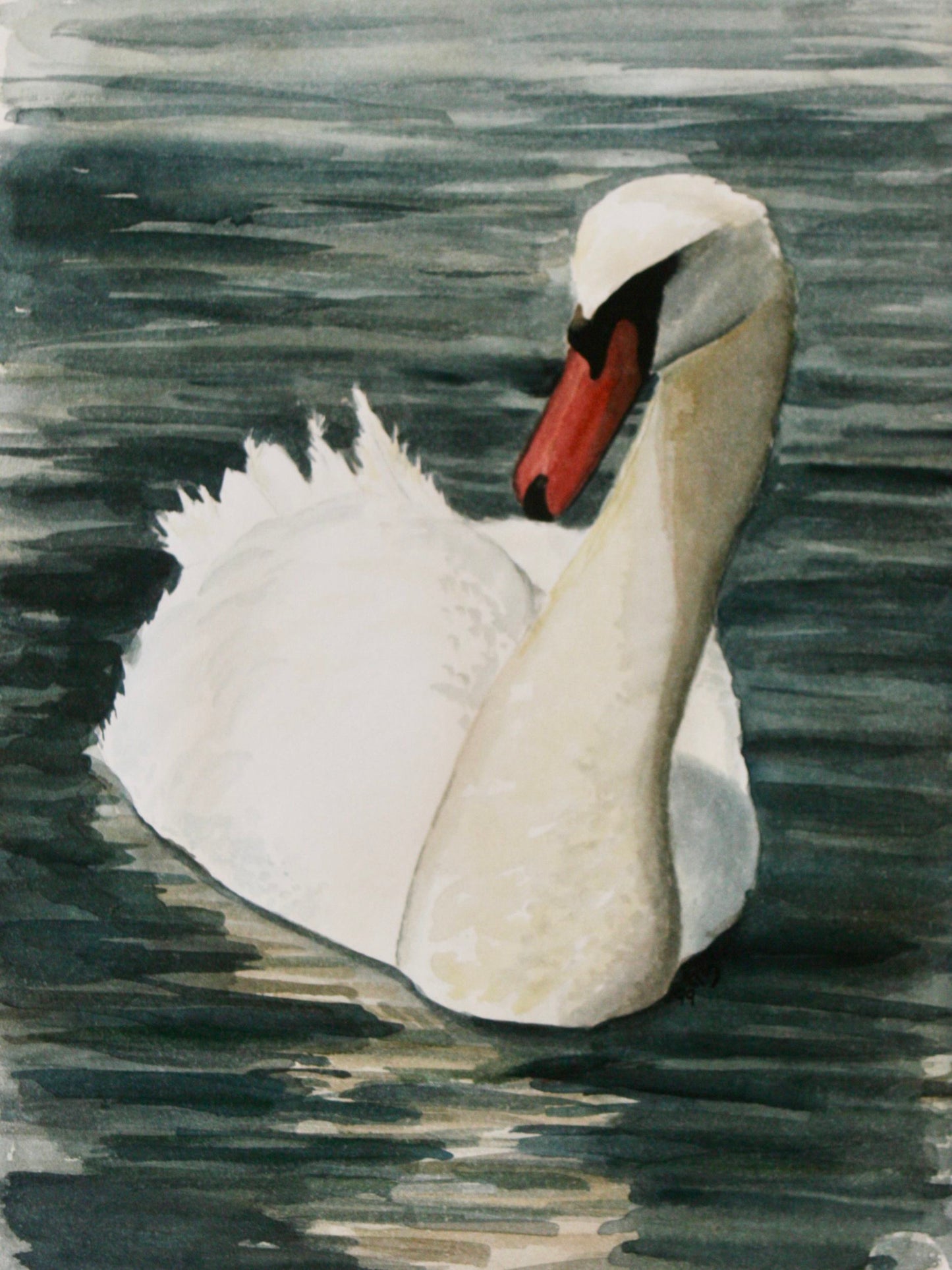 Print of a Mute Swan Watercolor Painting