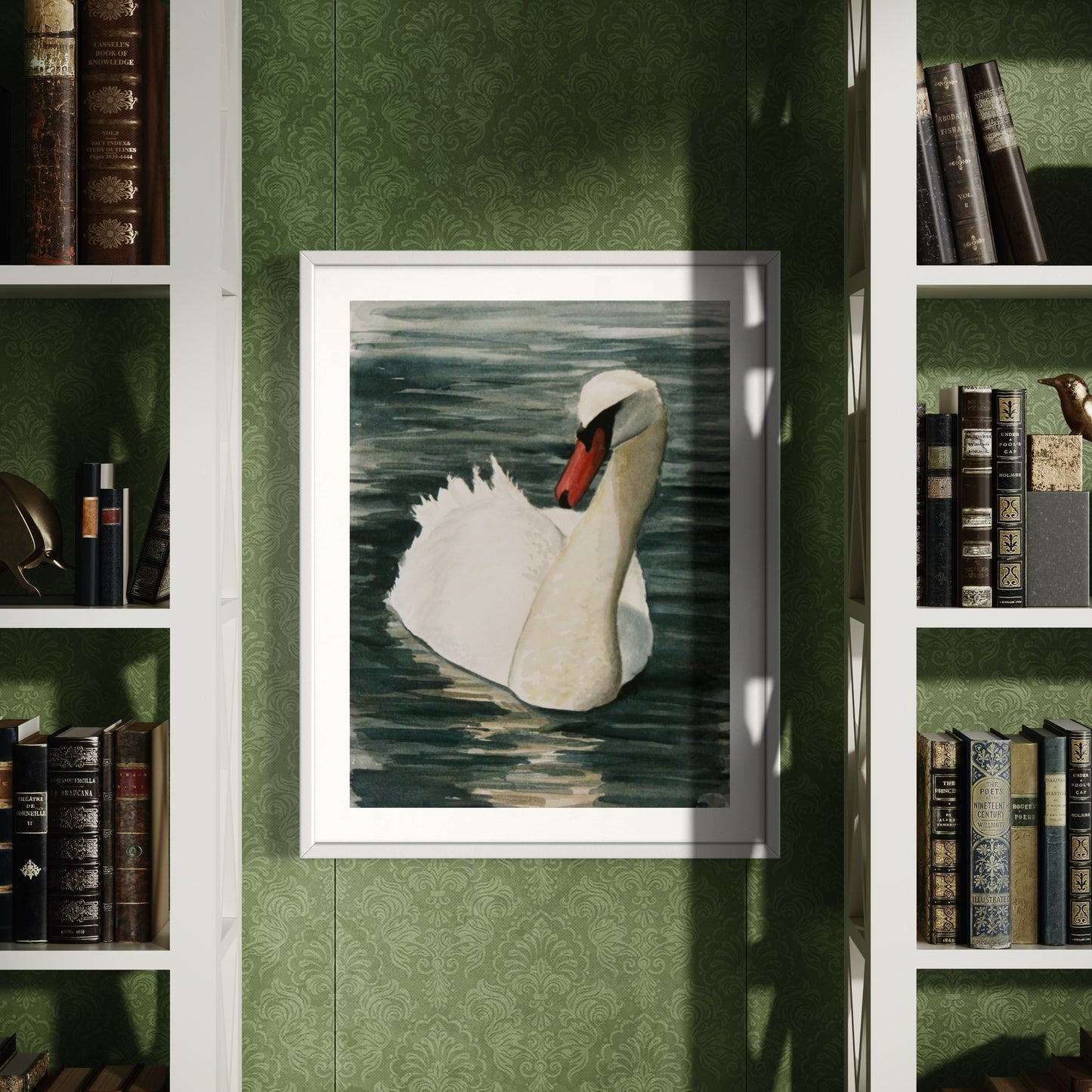 Framed watercolor artwork of a mute swan on a green wall with bookshelves.