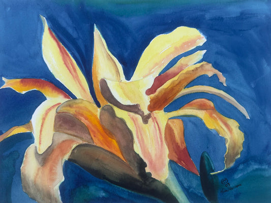 Print of Orange Daylily