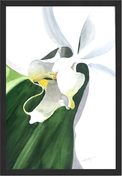 Print of White Orchid Watercolor Painting