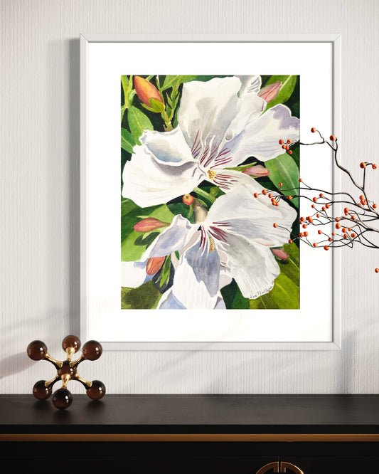 Framed watercolor artwork of  white oleander flowers with green leaves.