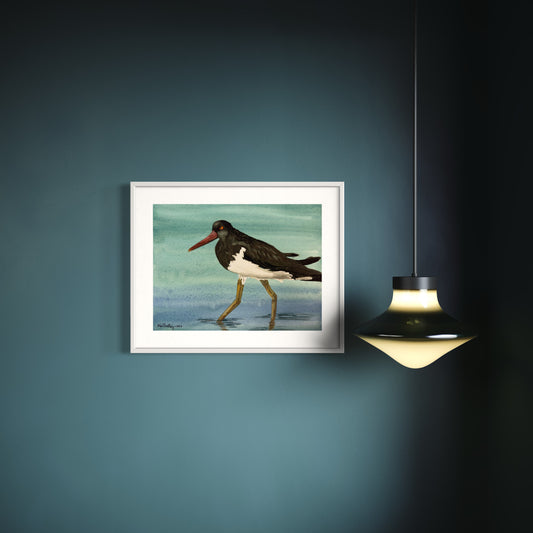 Print of Oyster Catcher Wading Watercolor Painting