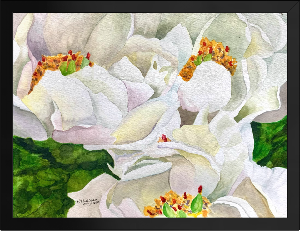 Print of White Peony Flowers