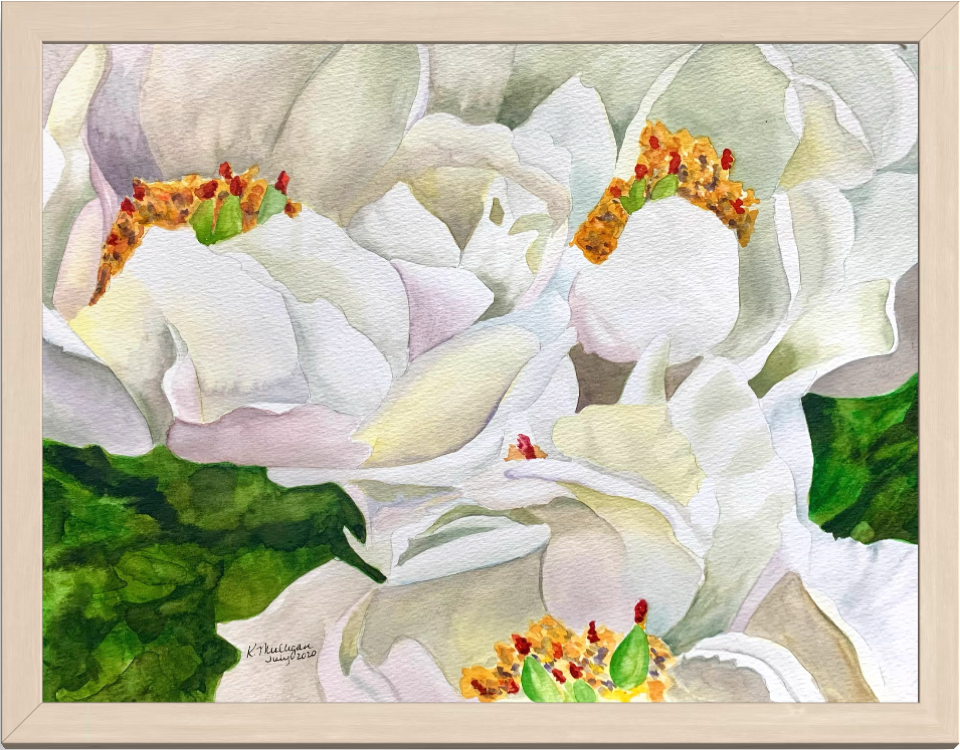 Print of White Peony Flowers
