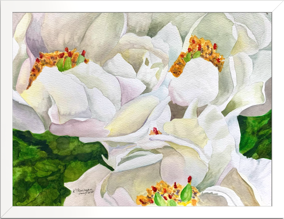 Print of White Peony Flowers