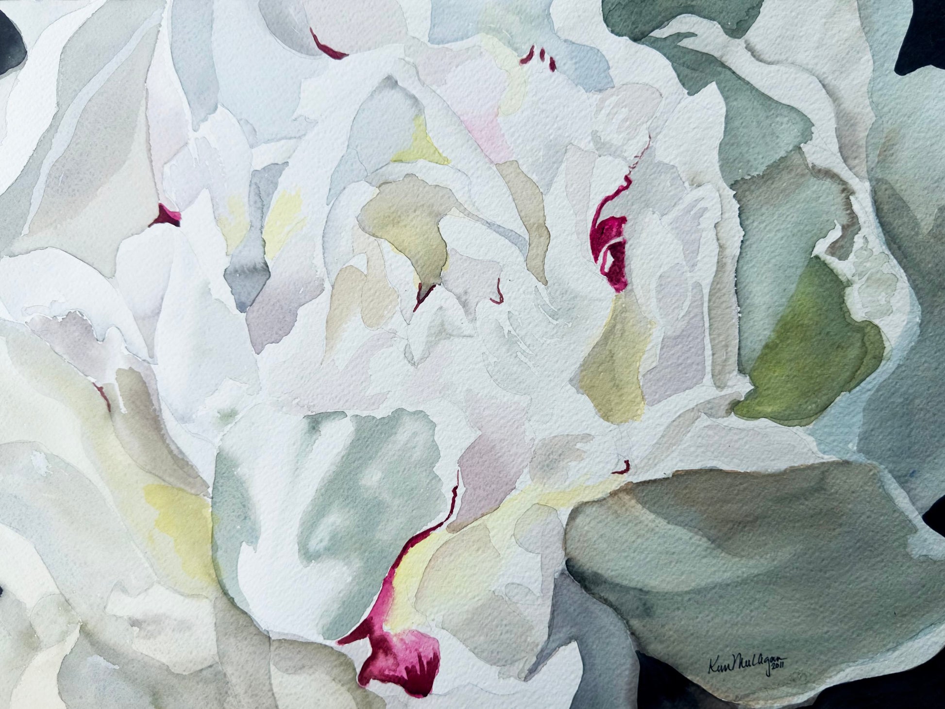 Watercolor painting of white peony  close up with magenta details .