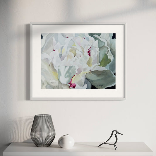 Framed Watercolor painting of white peony  close up with magenta details .