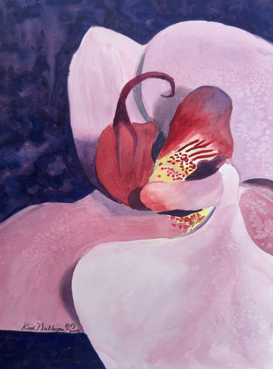 Watercolor painting of apink orchid with magenta stamens on a dark background