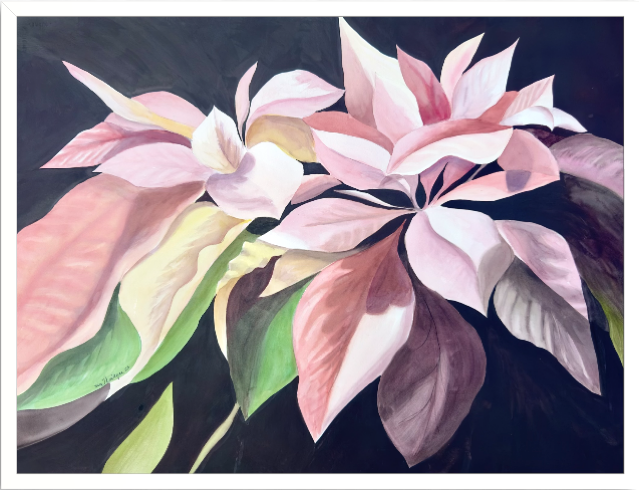 Print of Pink Poinsettia Watercolor Painting