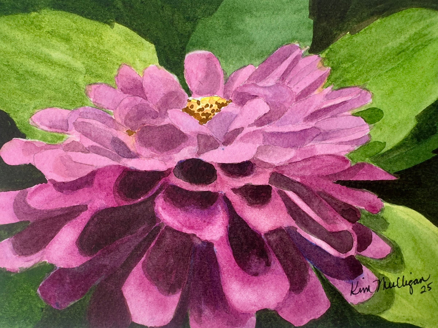 Print of Pink Zinnia