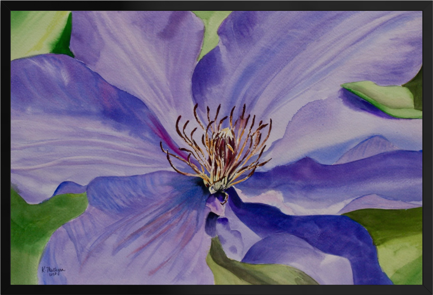 Print of Purple Clematis Watercolor Painting