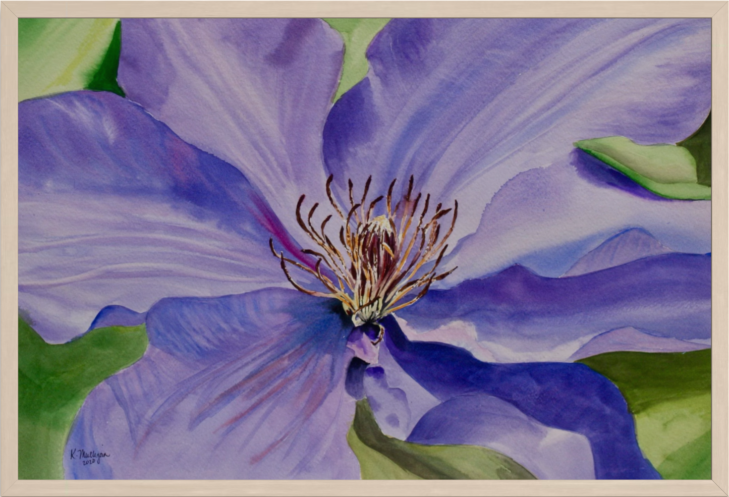 Print of Purple Clematis Watercolor Painting