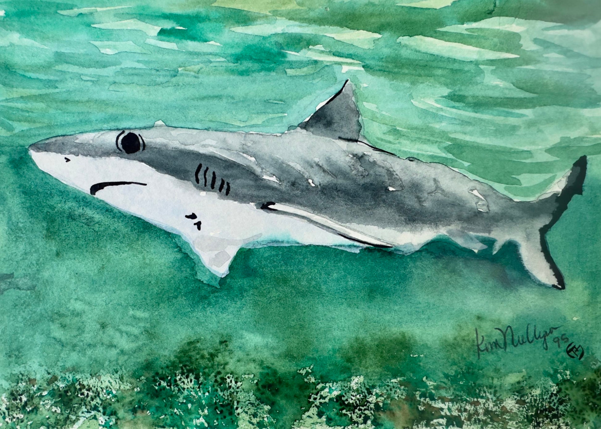 watercolor painting of a black tipped reef shark in green water