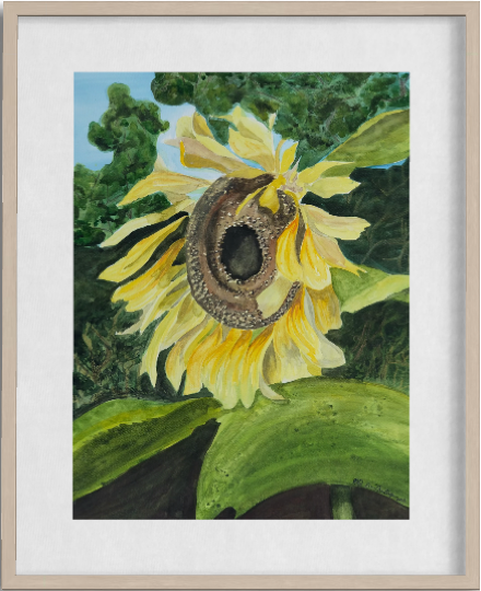 Print of Sunflower Watercolor Painting