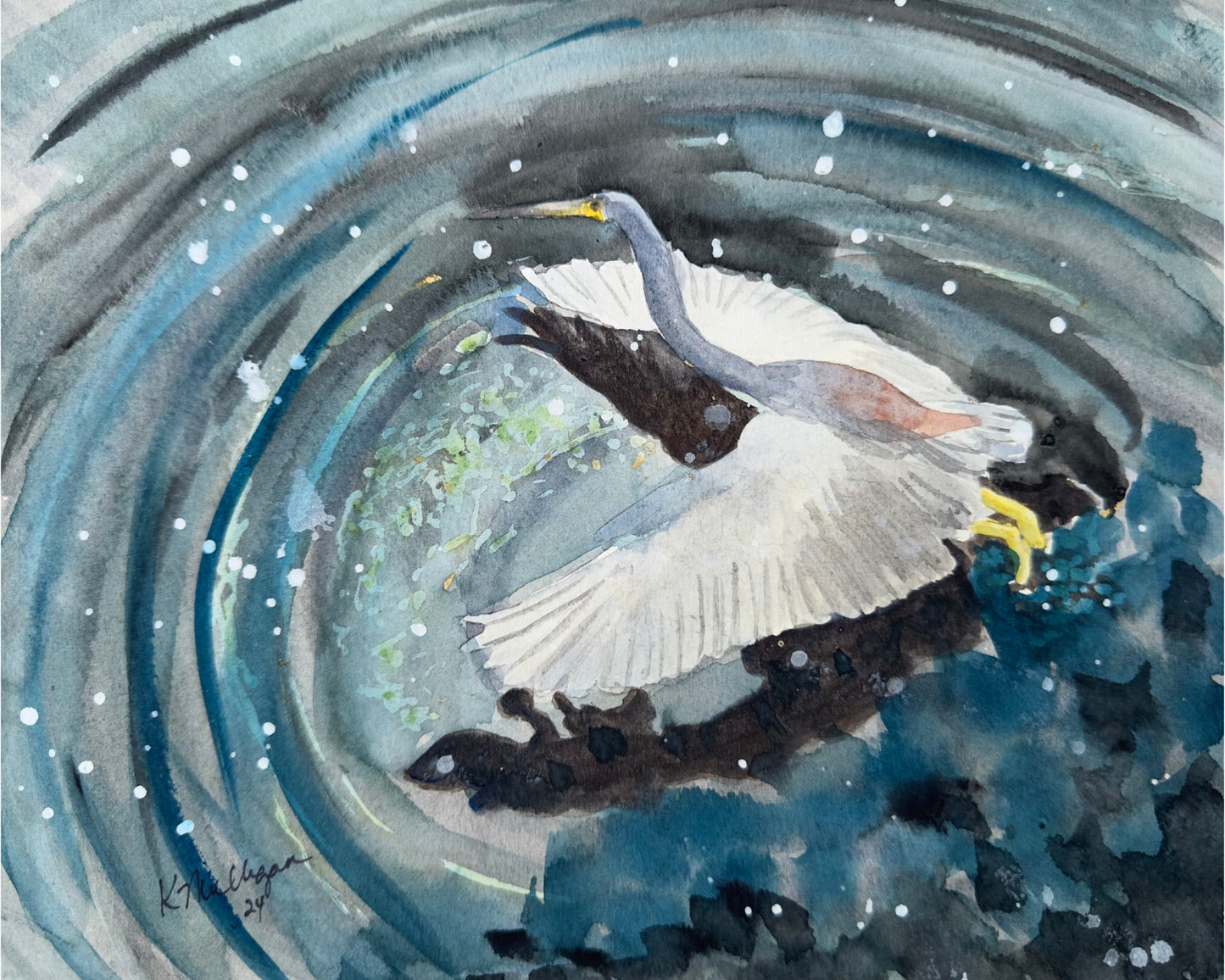 Print of Great Blue Heron Lifting Off Watercolor Painting