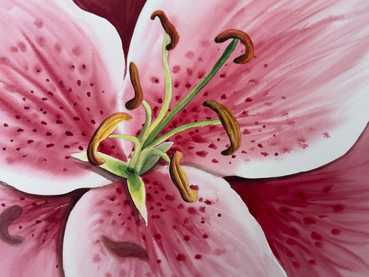 Print of Tiger Lily Watercolor