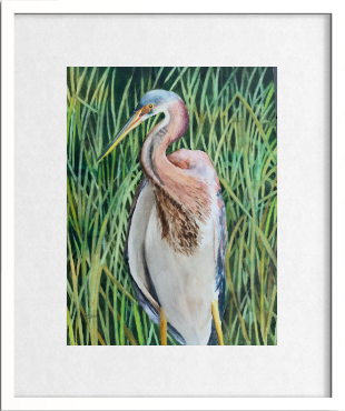 A framed watercolor painting of a heron standing in tall green reeds, presented with a wide white mat and a thin light frame against a white background.