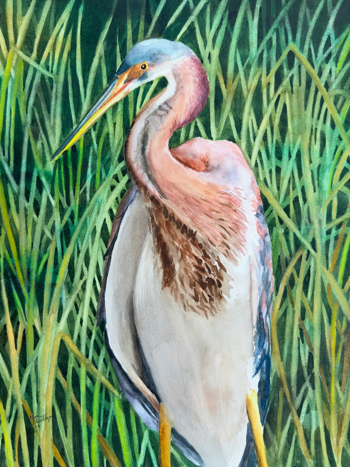 Marshland Jewel — Limited Edition Print - Tricolored Heron Watercolor Painting