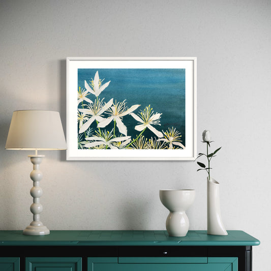 White Clematis Flowers Original Watercolor Painting