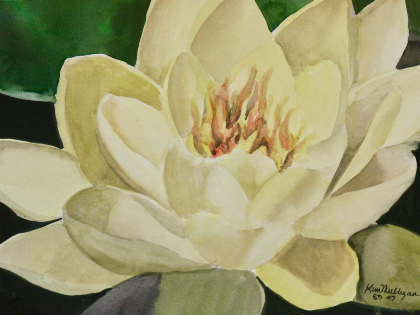 Print of Yellow Waterlily