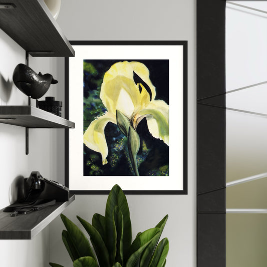 Framed watercolor painting of a yellow iris flower.