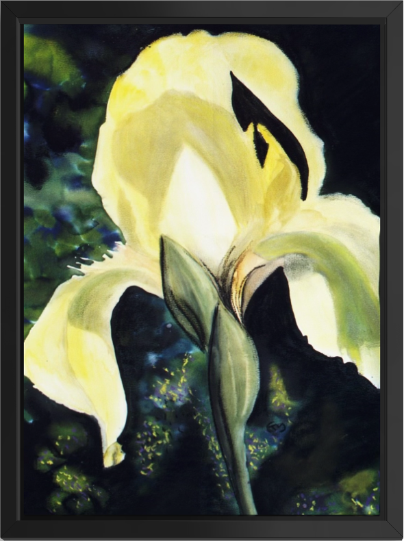 Print of Yellow Iris Watercolor Painting