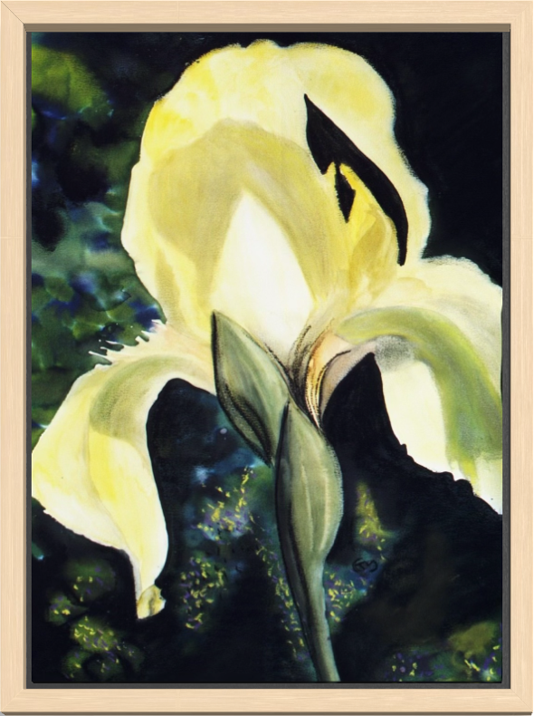 Print of Yellow Iris Watercolor Painting