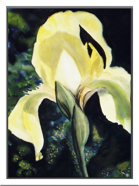 Print of Yellow Iris Watercolor Painting
